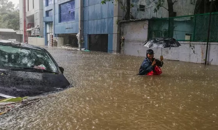 মিগজাউমের প্রভাবে ভারতে আটজনের মৃত্যু