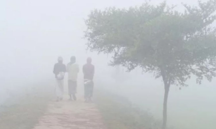 চলতি মাসেই আসতে পারে শৈত্যপ্রবাহ