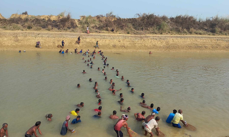 চলনবিলে ঐতিহ্যবাহী বাউত উৎসব