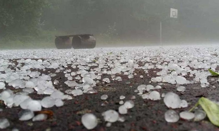 ঝড়ো হাওয়াসহ শিলা বৃষ্টির পূর্বাভাস