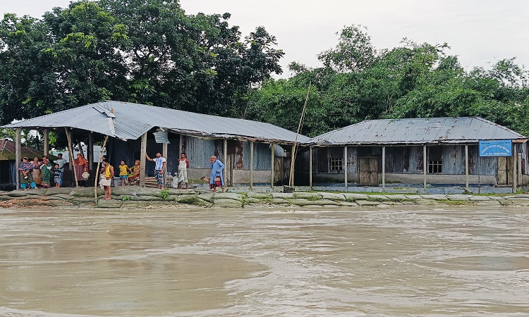 লালমনিরহাটে তিস্তায় ভাঙন, শতাধিক বসতভিটা বিলীন