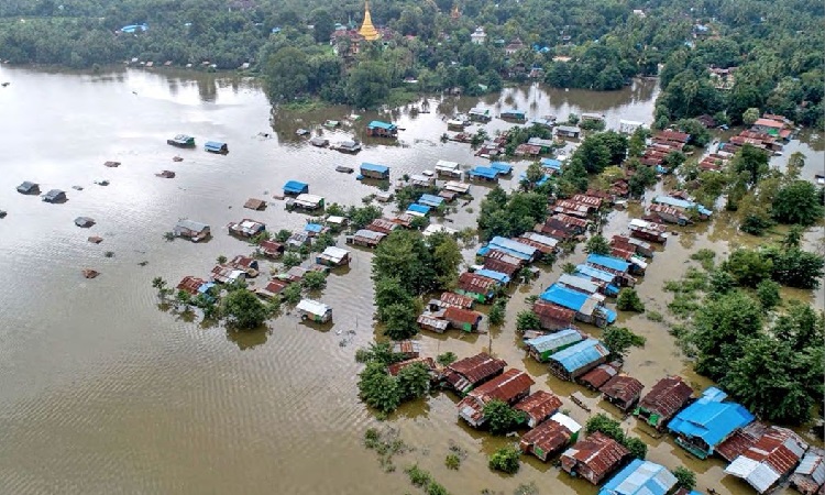 বন্যায় ১১ জেলায় ৫২ জনের প্রাণহানি