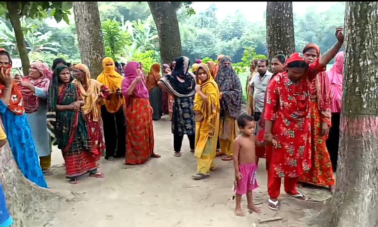 মহেশপুরে গরু চোর সন্দেহে তিনজনকে গণধোলাই নিহত ১