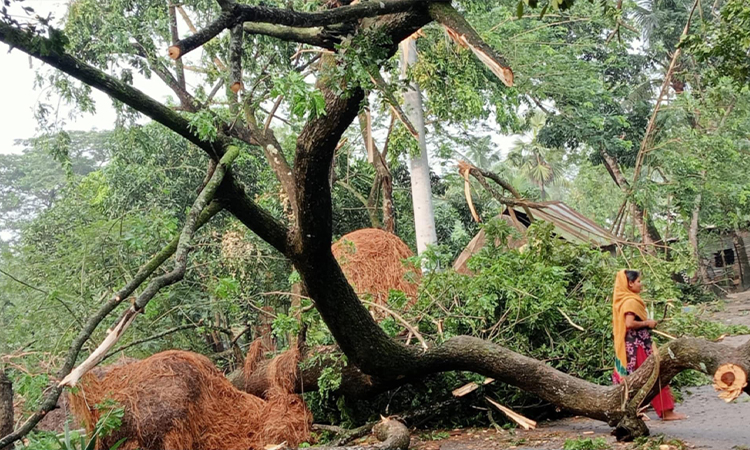 ৫ মিনিটের ঝড়ে লন্ডভন্ড হোসেনপুর এলাকা