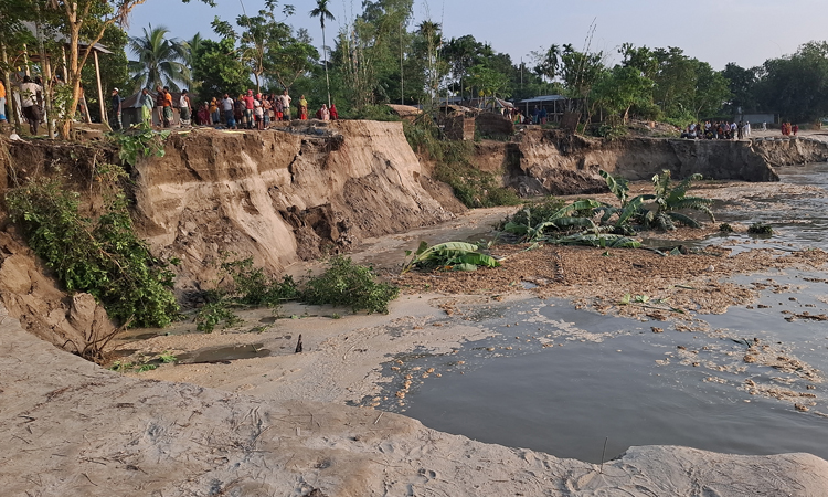 টাঙ্গাইলে যমুনায় অসময়ে ভাঙন, নদীতে বিলীন ১৫ বাড়ি