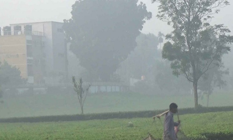 ১৫ ডিগ্রিতে নামল পঞ্চগড়ের তাপমাত্রা, বাড়ছে শীতজনিত রোগব্যাধি