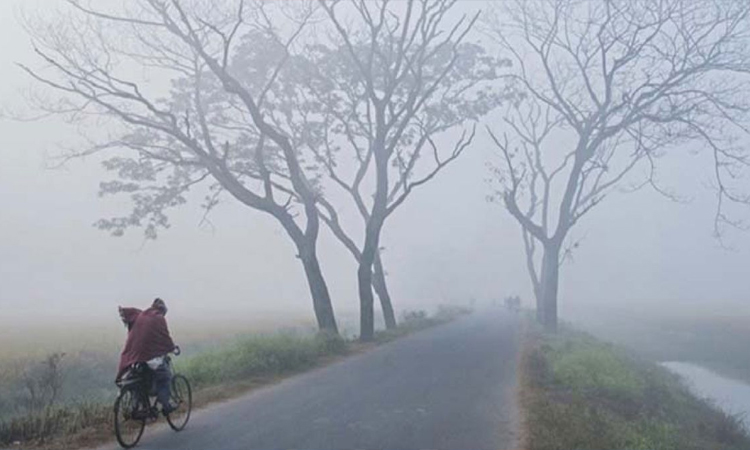 কমছে তাপমাত্রা, জেঁকে বসতে পারে শীত