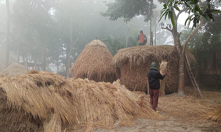 কুয়াশা আর হিমেল হাওয়ায় জবুথবু কালীগঞ্জের ছিন্নমূল মানুষ