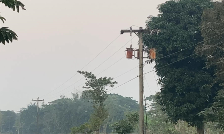 নেত্রকোনায় সেচ এলাকা থেকে ট্রান্সফরমার চুরির হিড়িক, বিপদে কৃষকেরা