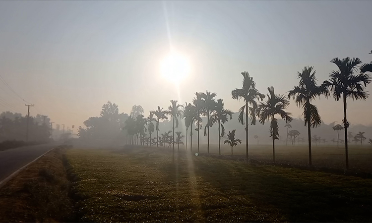 বৃষ্টির পূর্বাভাস, বাড়তে পারে রাতের তাপমাত্রা