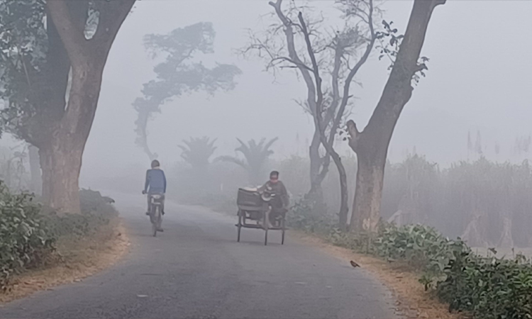 ফের শৈত্যপ্রবাহের কবলে পড়েছে দেশ