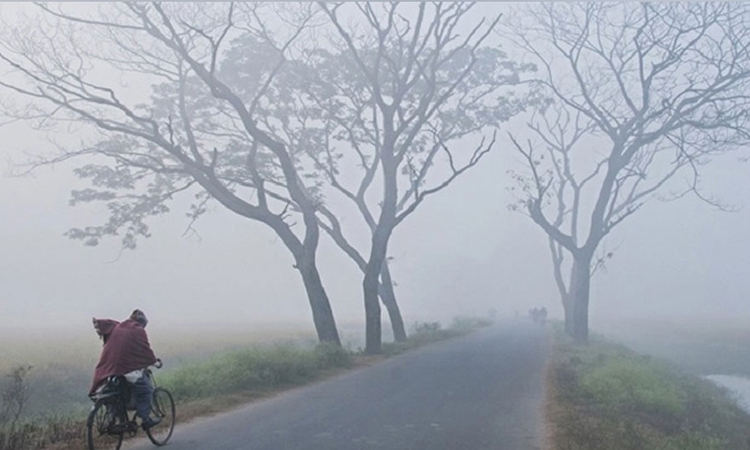 তেঁতুলিয়া মৌসুমের সর্বনিম্ন তাপমাত্রা ৭ দশমিক ৮ ডিগ্রি 